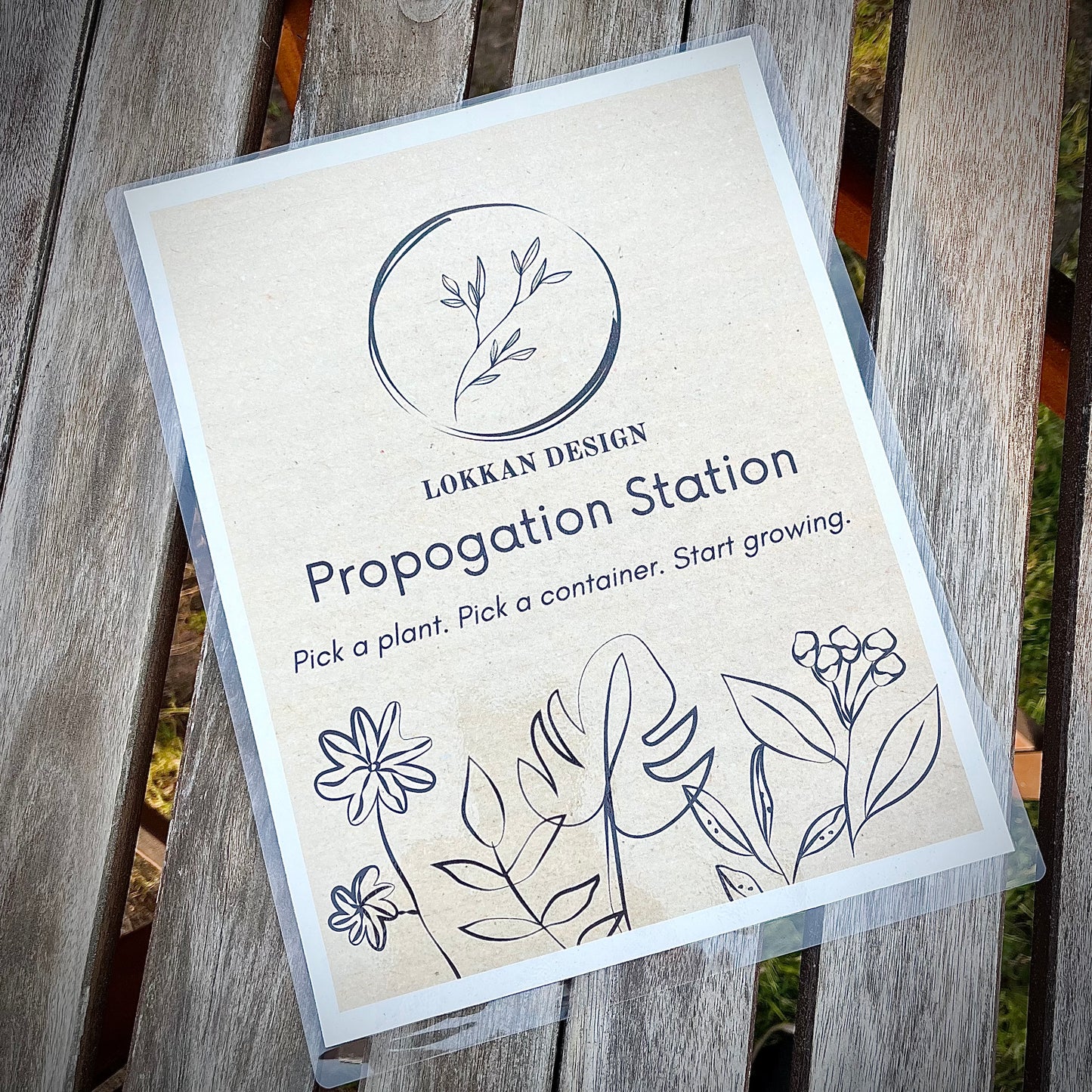 Sneak Peek – DIY Propagation Station 🌿